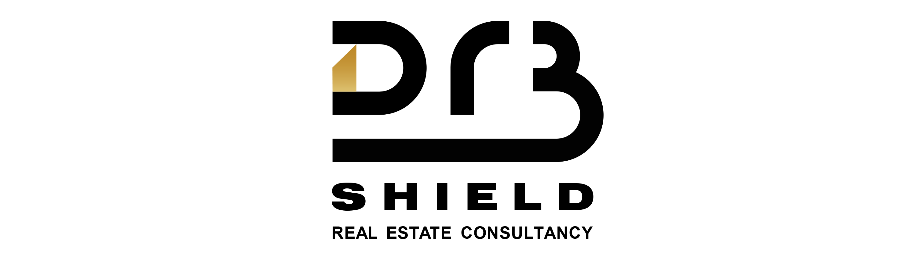 Dr3 Shield